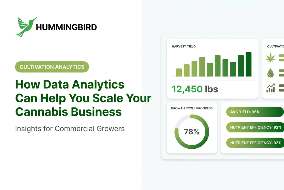 How Data Analytics Can Help You Scale Your Cannabis Business