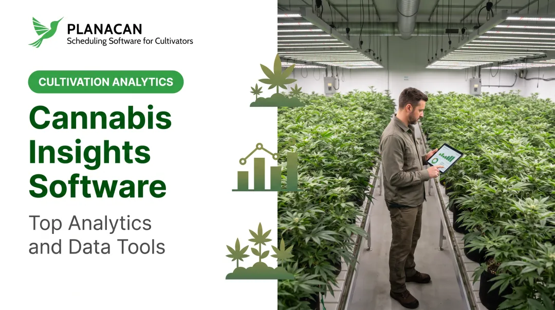 Cannabis Insights Software: Top Analytics and Data Tools