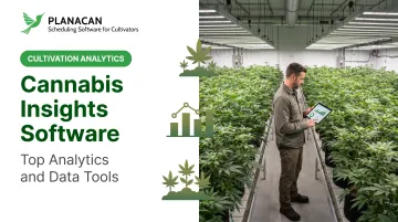 Cannabis Insights Software: Top Analytics and Data Tools