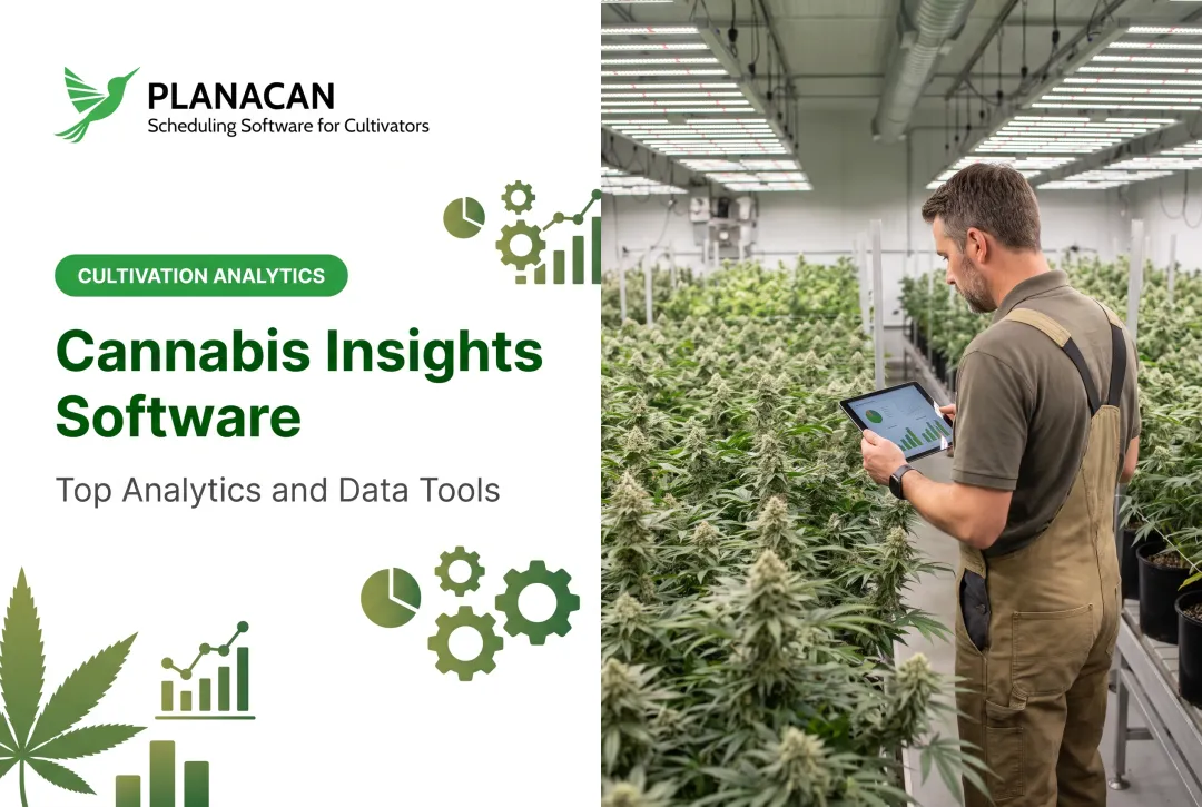 Cannabis Insights Software: Top Analytics and Data Tools