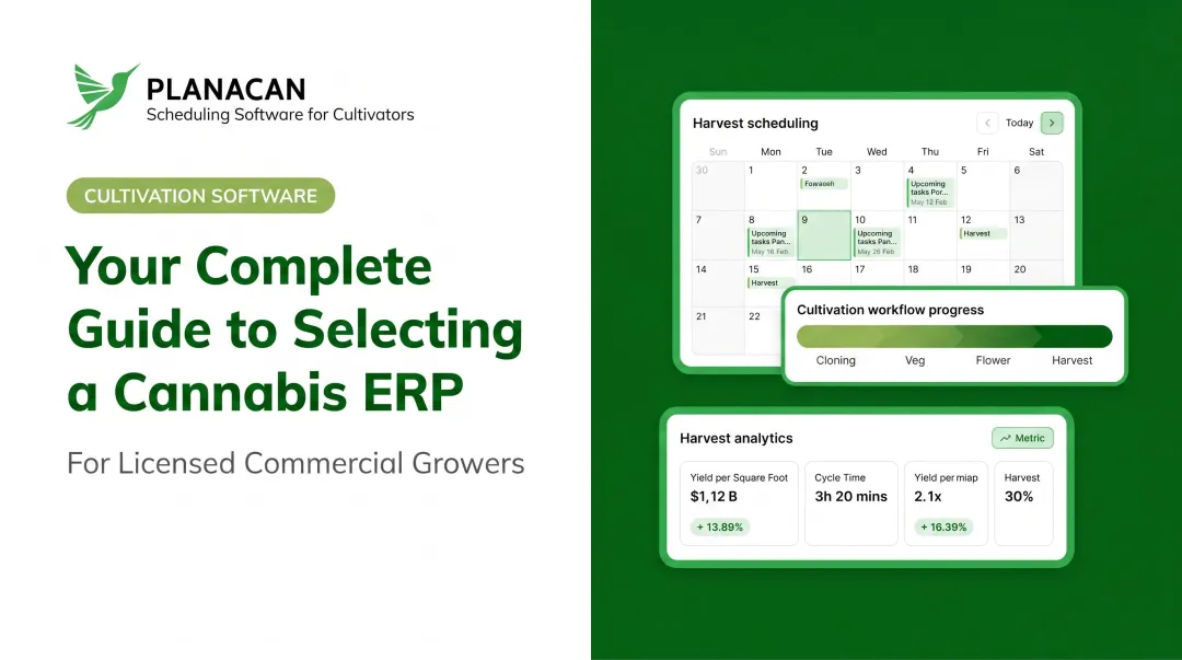 Your Complete Guide to Selecting a Cannabis ERP