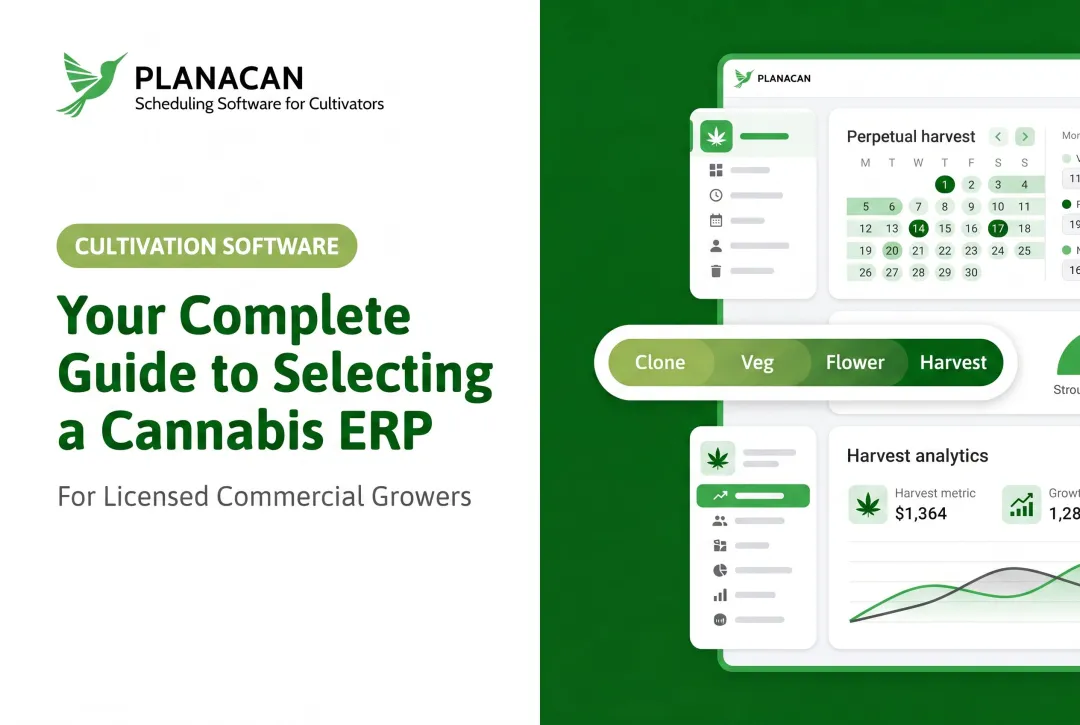Your Complete Guide to Selecting a Cannabis ERP