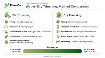 Wet trimming versus dry trimming cannabis comparison chart terpenes cannabinoids throughput