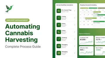 Automating Cannabis Harvesting: Complete Process Guide