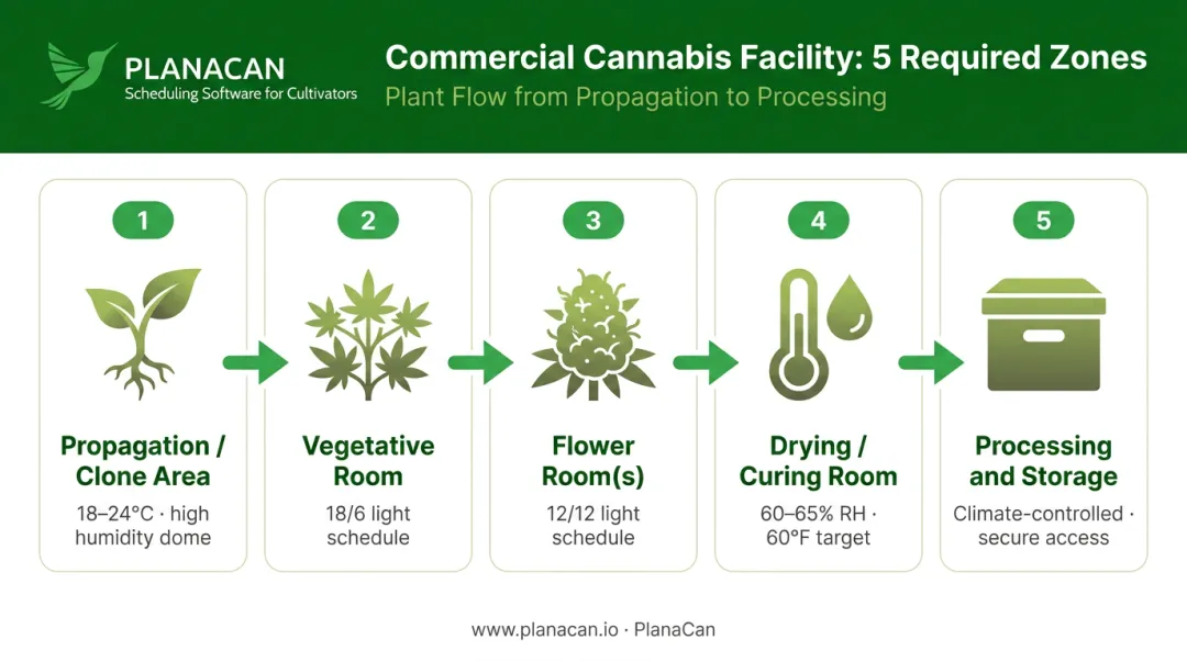 5-zone commercial cannabis facility layout from propagation to processing and storage