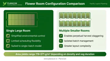 Single large flower room versus multiple smaller rooms trade-off comparison infographic