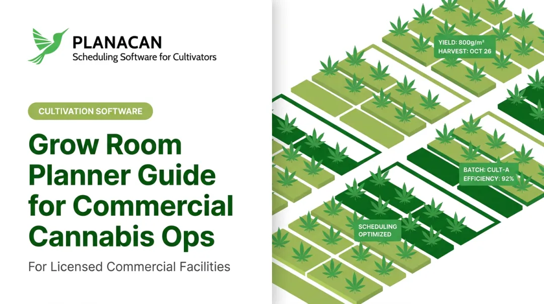 Grow Room Planner Guide for Commercial Cannabis Ops