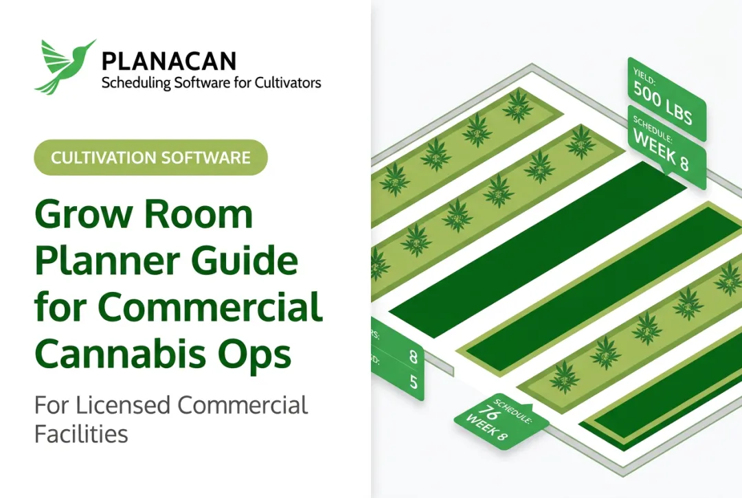 Grow Room Planner Guide for Commercial Cannabis Ops