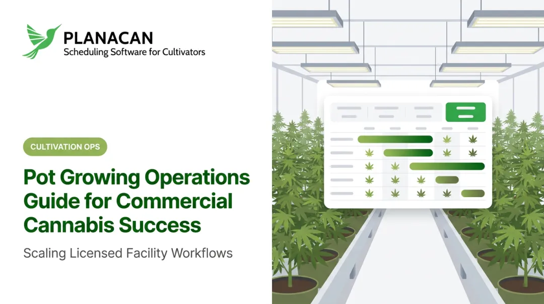 Pot Growing Operations Guide for Commercial Cannabis Success