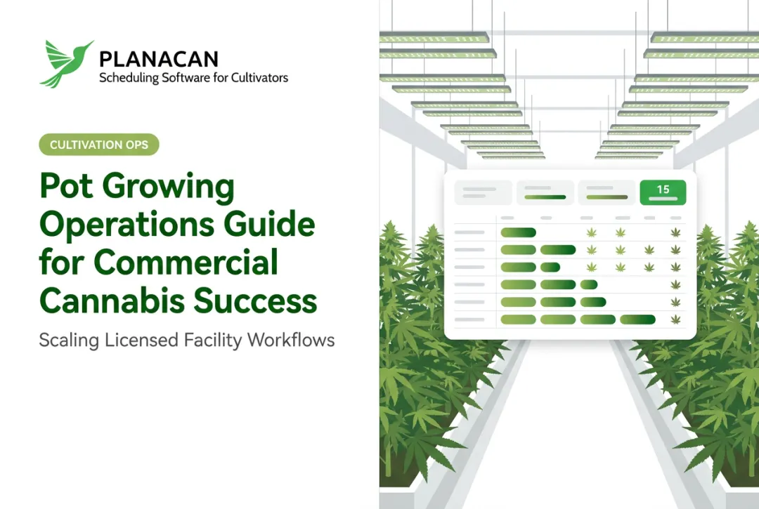 Pot Growing Operations Guide for Commercial Cannabis Success