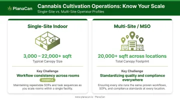 Commercial cannabis facility structure comparison single-site versus multi-site MSO operations