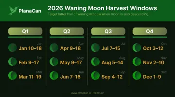 2026 cannabis harvest windows by quarter waning moon phase schedule