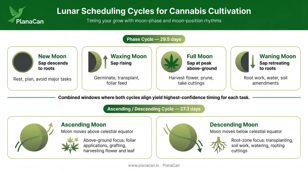Cannabis lunar calendar two-layer phase and ascending descending cycle overview