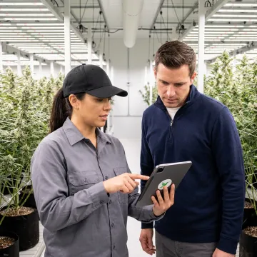 Cannabis cultivation team reviewing SOP workflow software