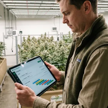 Cultivation manager reviewing SOP workflow steps