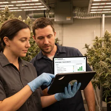 Cultivation team reviewing compliance task records