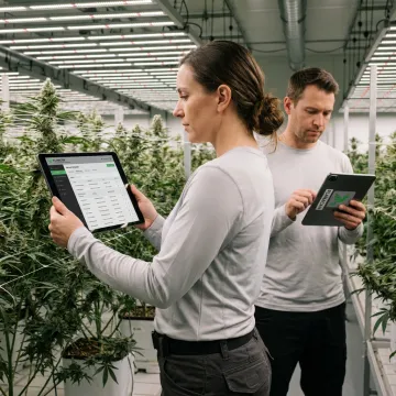 Cultivation team using grow management software