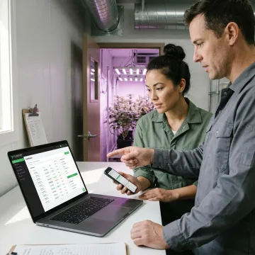 Cannabis cultivation team using ERP software dashboard