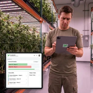 Automated cannabis grow facility dashboard