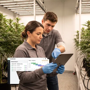 Cultivation team reviewing digital SOPs