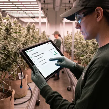 Cannabis Track and Trace Software for Compliance