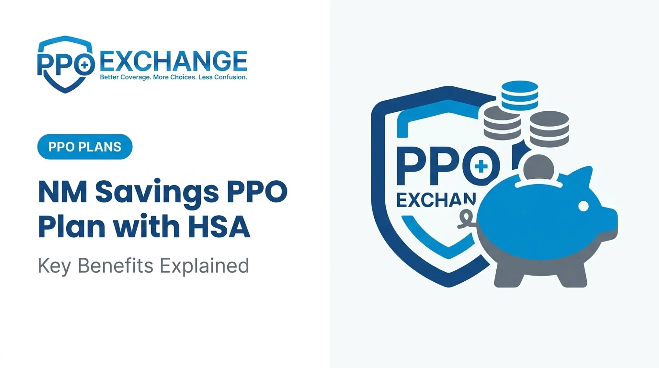 NM Savings PPO Plan with HSA: Key Benefits Explained