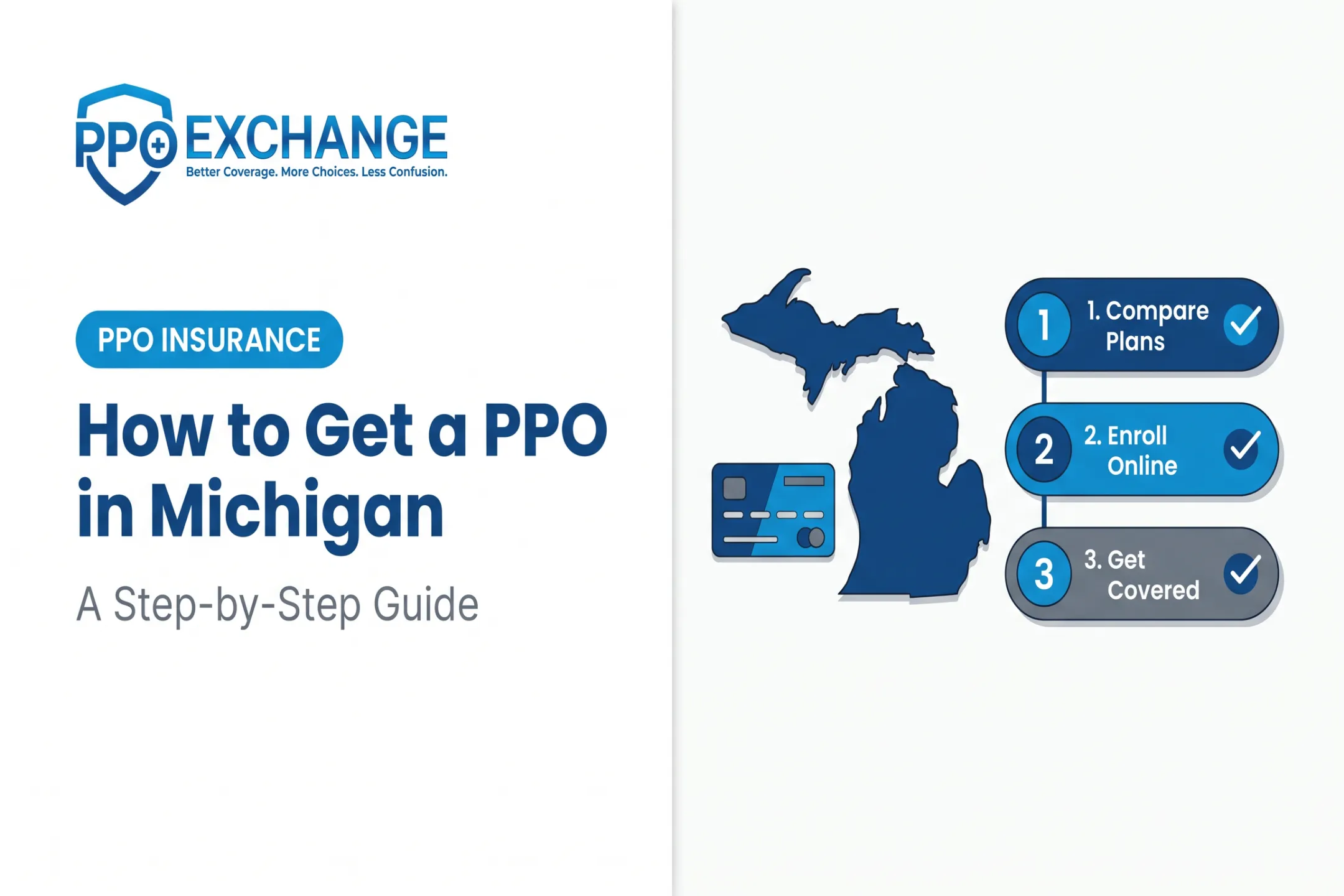 How to Get a PPO in Michigan: A Step-by-Step Guide