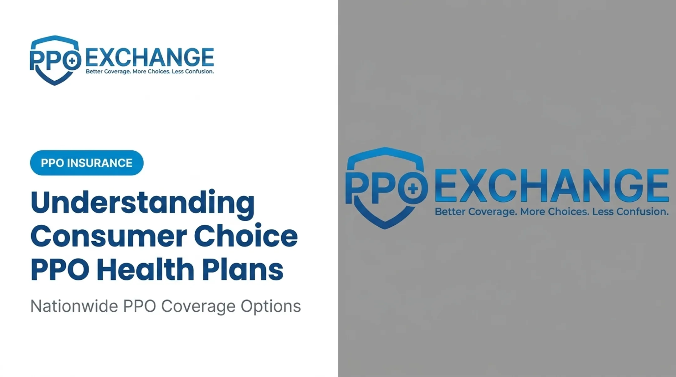 Understanding Consumer Choice PPO Health Plans