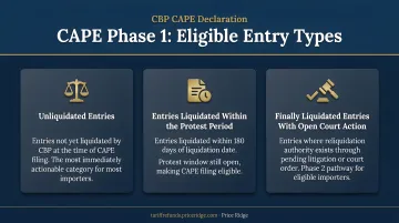 CAPE Phase 1 eligible entry types three-category breakdown infographic
