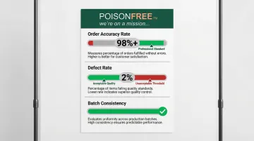 Infographic