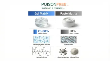 Infographic