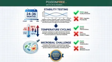 Infographic