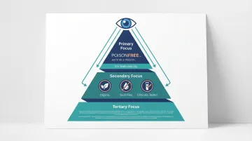 Infographic