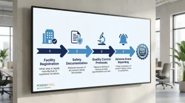 Infographic