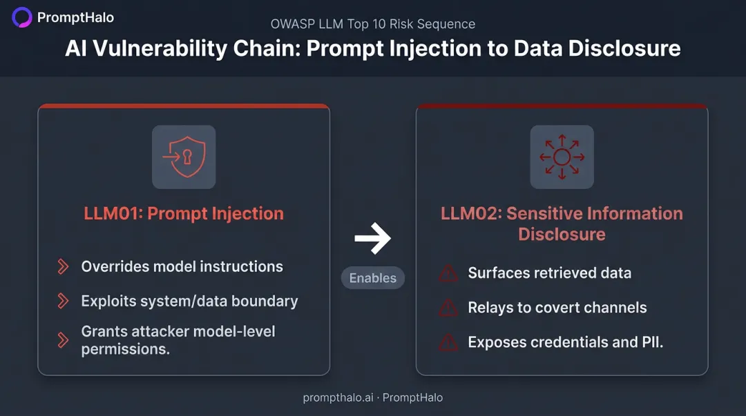 LLM01 prompt injection and LLM02 disclosure cause and effect relationship diagram