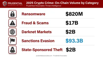 Five crypto crime categories with 2025 on-chain volume statistics infographic