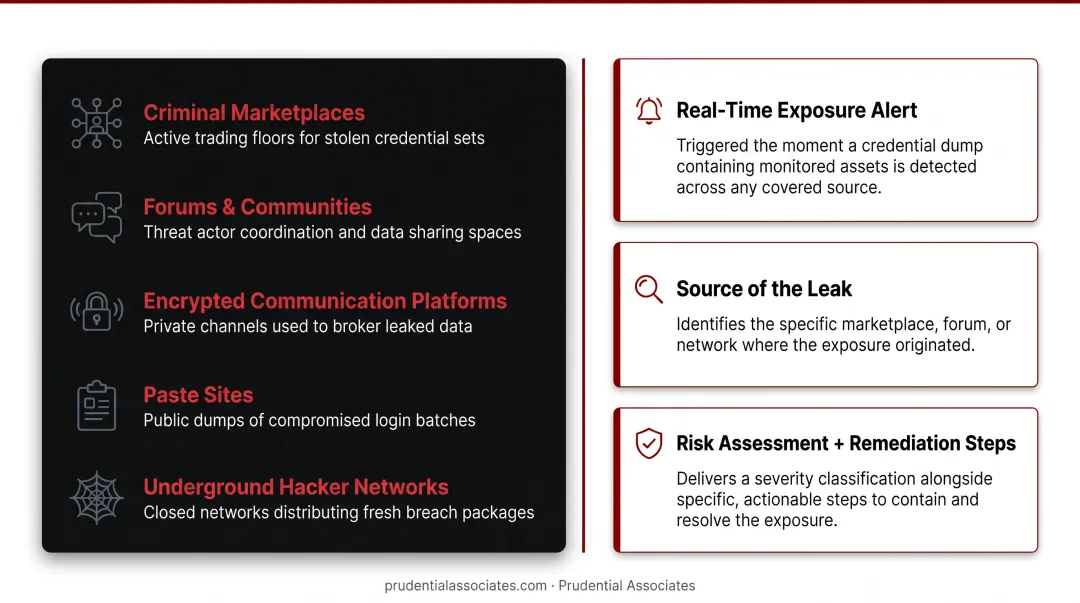 Dark web monitoring dashboard displaying real-time credential threat alerts and risk intelligence