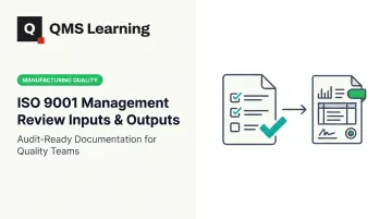 ISO 9001 Management Review Inputs & Outputs