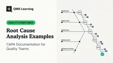 Root Cause Analysis Examples