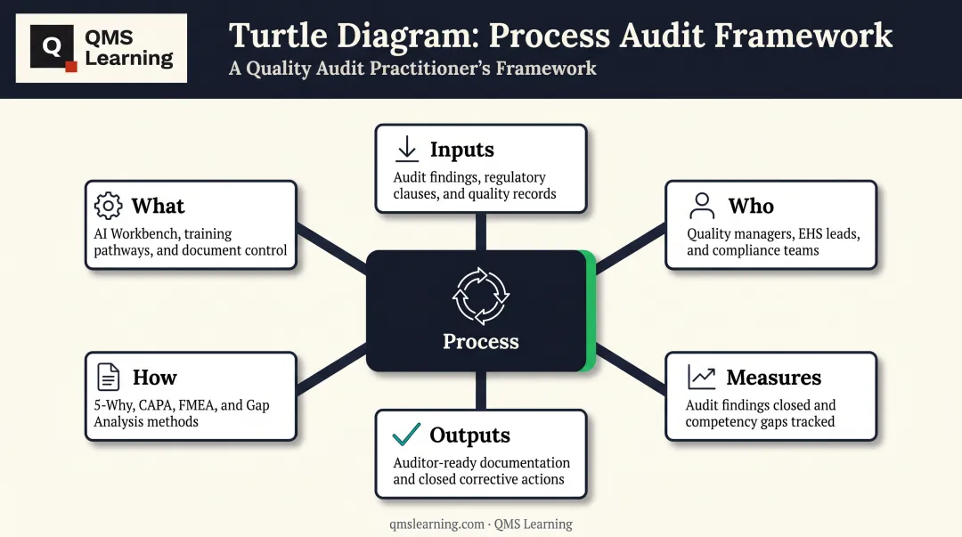 Six elements of a turtle diagram audit mapping tool