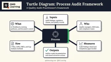 Six elements of a turtle diagram audit mapping tool