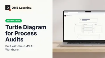 Turtle Diagram for Process Audits