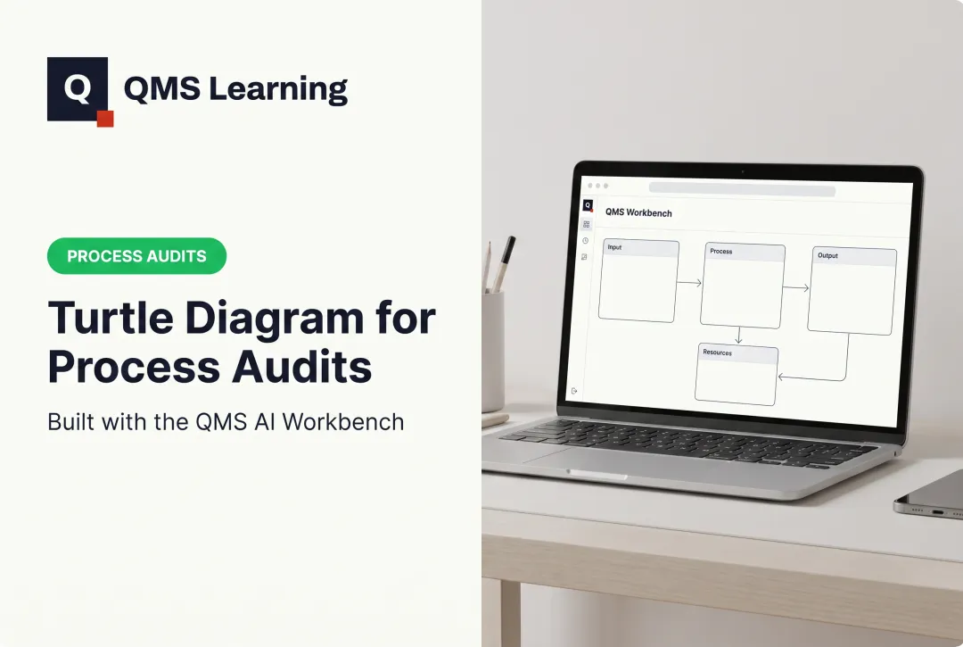 Turtle Diagram for Process Audits