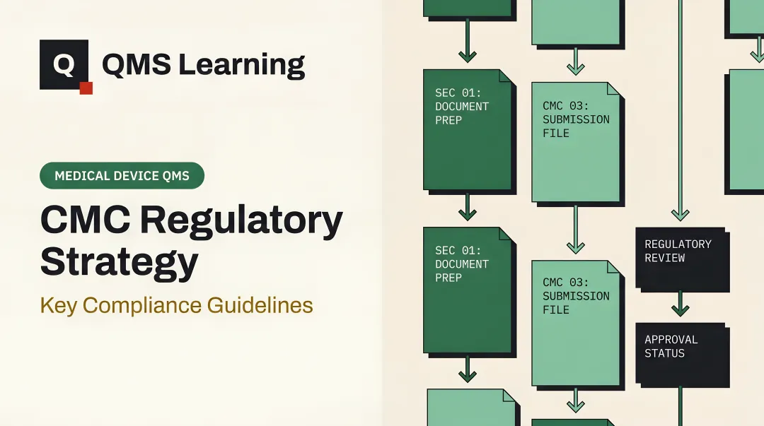 CMC Regulatory Strategy: Key Compliance Guidelines