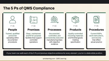 5 pillars of GMP people premises processes products procedures diagram