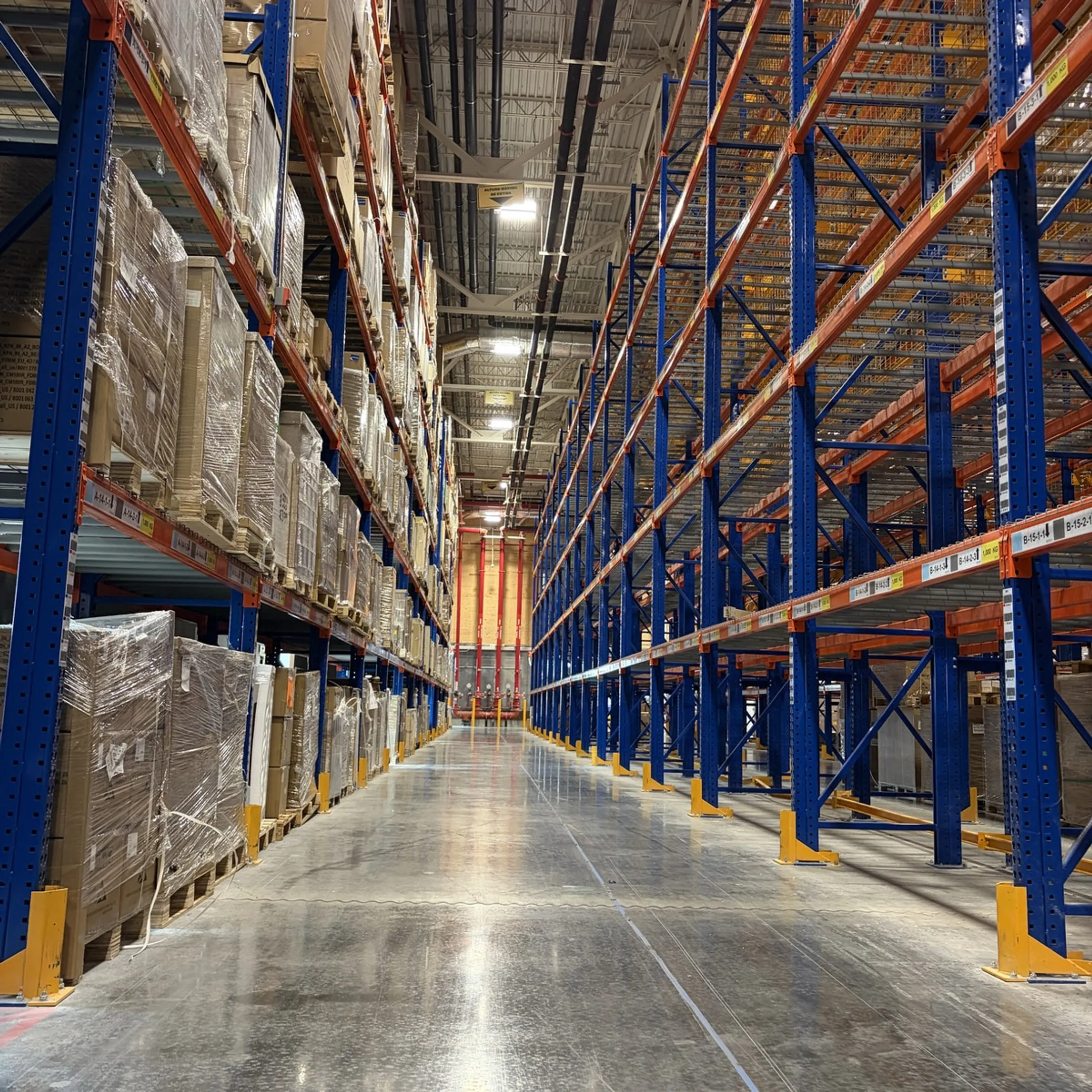 Warehouse planner reviewing a pallet racking layout