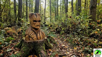 Raven's Retreat Hocking Hills forest trail with steel sculpture and woodland meditation setting