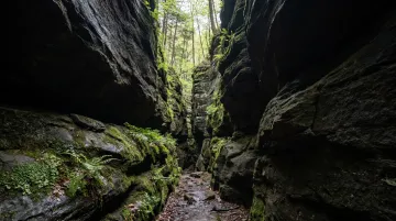 Dramatic sandstone gorge walls with narrow rock passage at Cantwell Cliffs Ohio