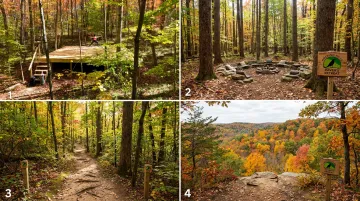 Raven's Retreat Hocking Hills elevated yoga platform surrounded by private forest preserve