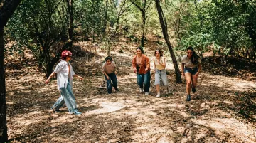 Corporate team hiking wooded trail together during reflective team-building retreat